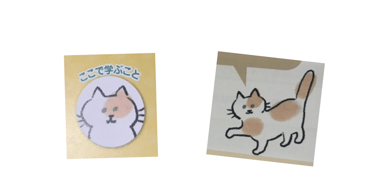 Onkatsu Advisor Text Illustration of a cat
